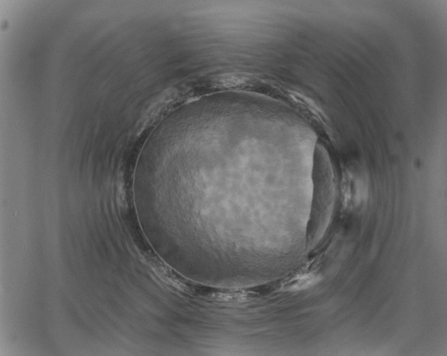 X0000067350524200604030937