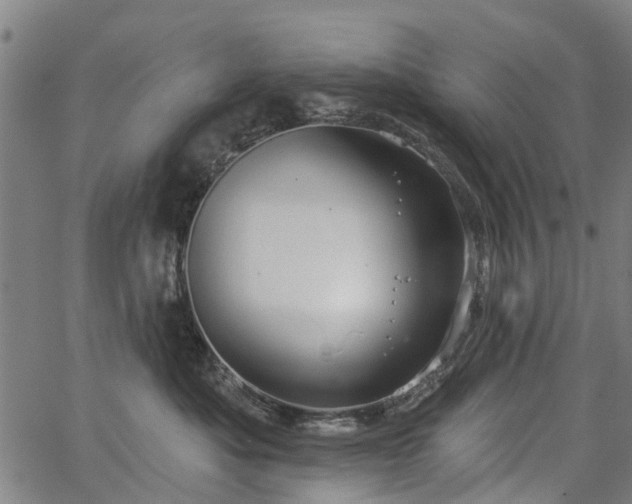 X0000067350525200604030937