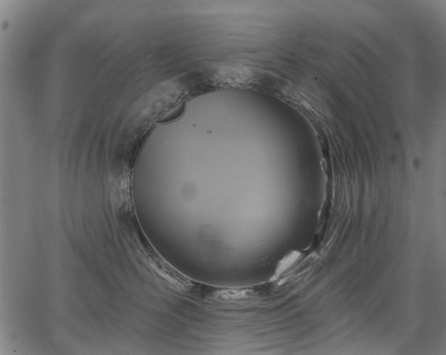 X0000067350526200604030937