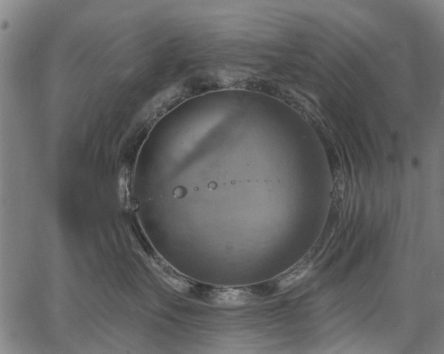 X0000067350527200604030937