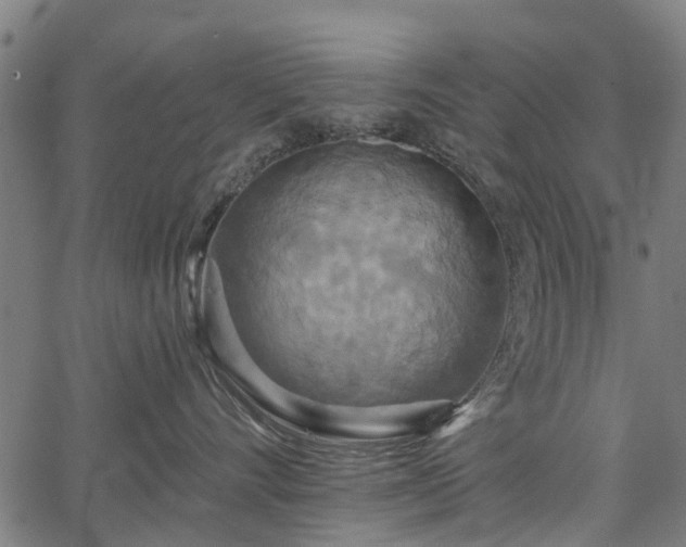 X0000067350528200604030937