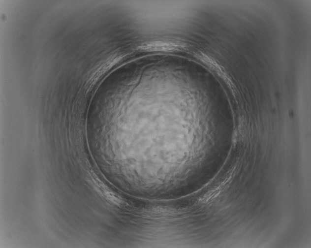 X0000067350529200604030936