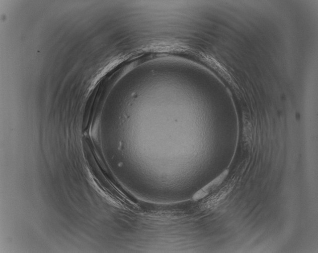 X0000067350530200604030936