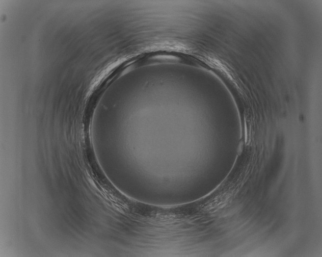 X0000067350531200604030936