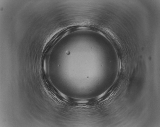 X0000067350532200604030936