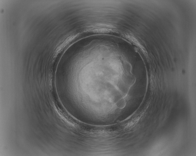 X0000067350533200604030936