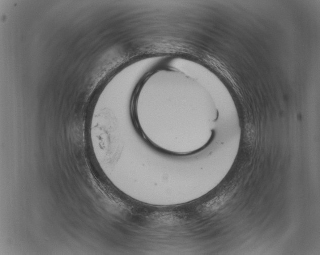 X0000067350534200604030936