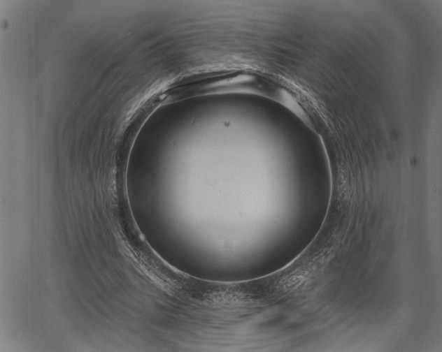 X0000067350535200604030936