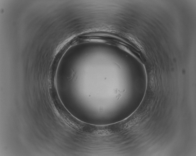 X0000067350536200604030936