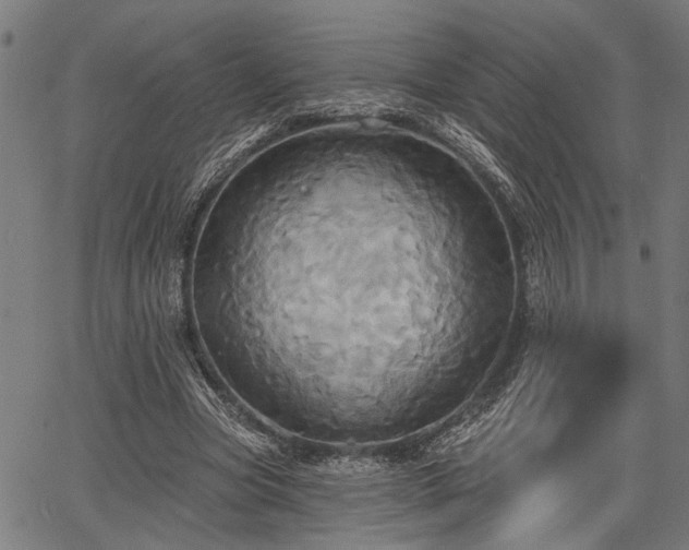 X0000067350537200604030936