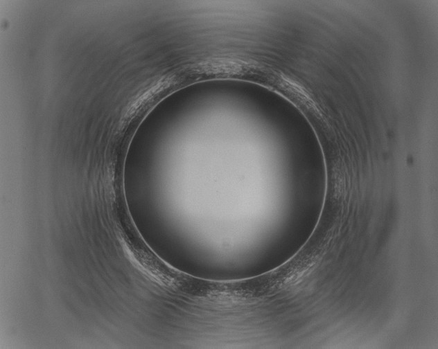 X0000067350538200604030936