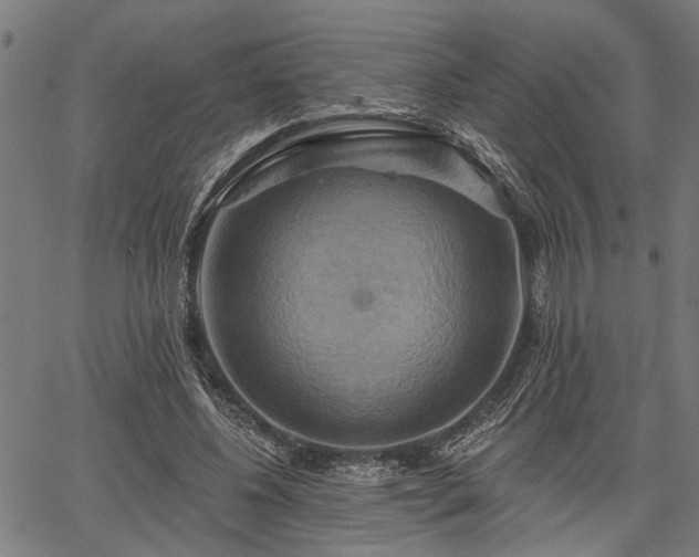 X0000067350540200604030936