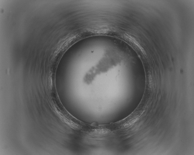 X0000067350541200604030936