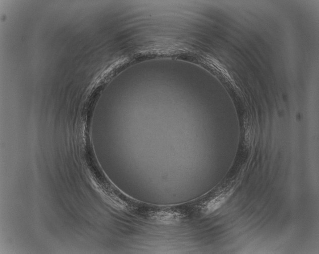 X0000067350542200604030936