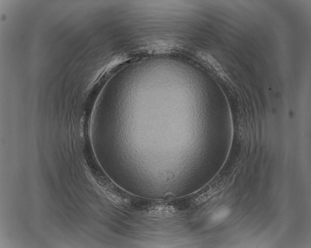 X0000067350543200604030936