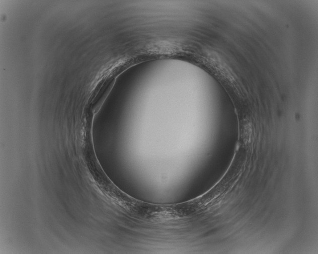 X0000067350544200604030936