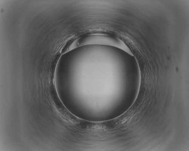 X0000067350546200604030936