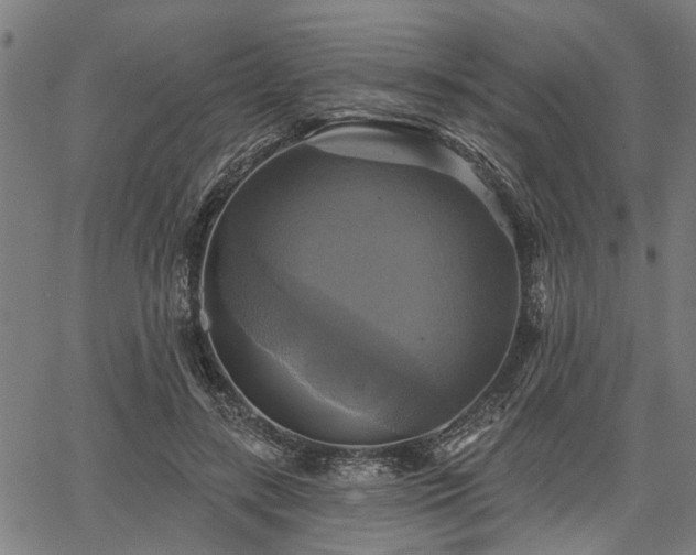 X0000067350547200604030936