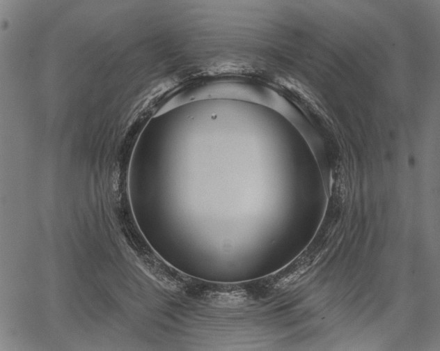 X0000067350548200604030936