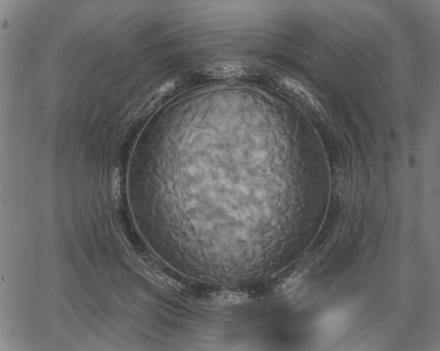 X0000067350549200604030936