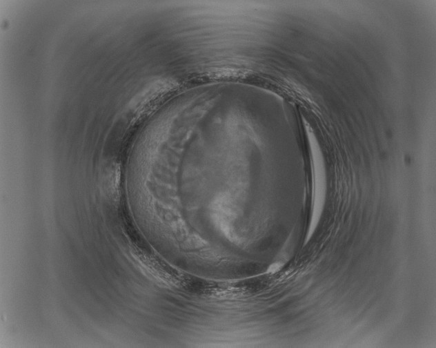 X0000067350550200604030936