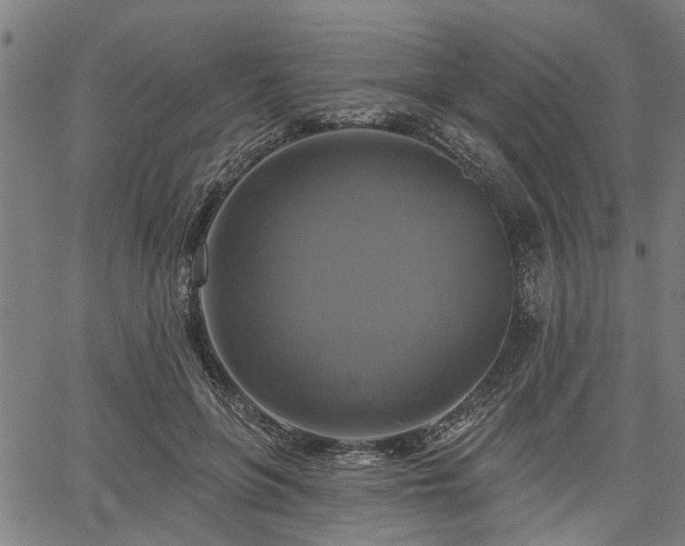 X0000067350551200604030936