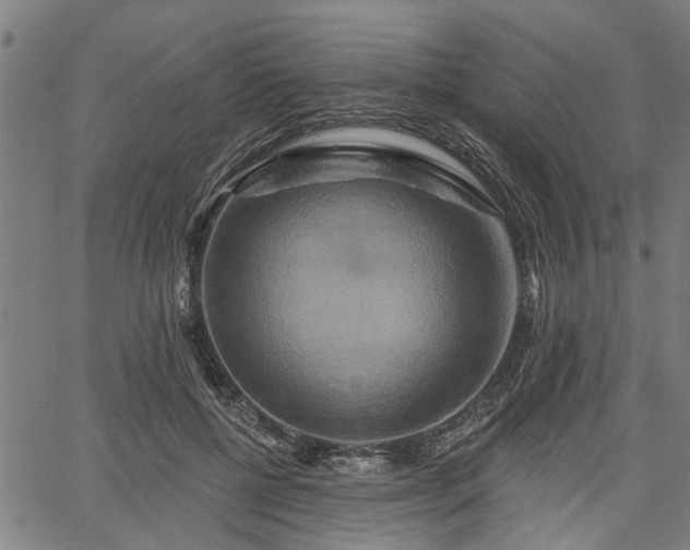 X0000067350552200604030936