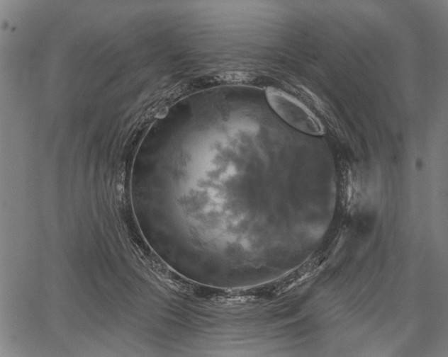 X0000067350553200604030937