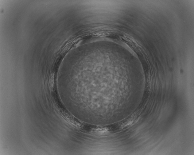 X0000067350554200604030937