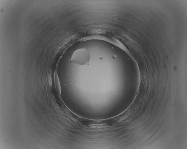 X0000067350556200604030937