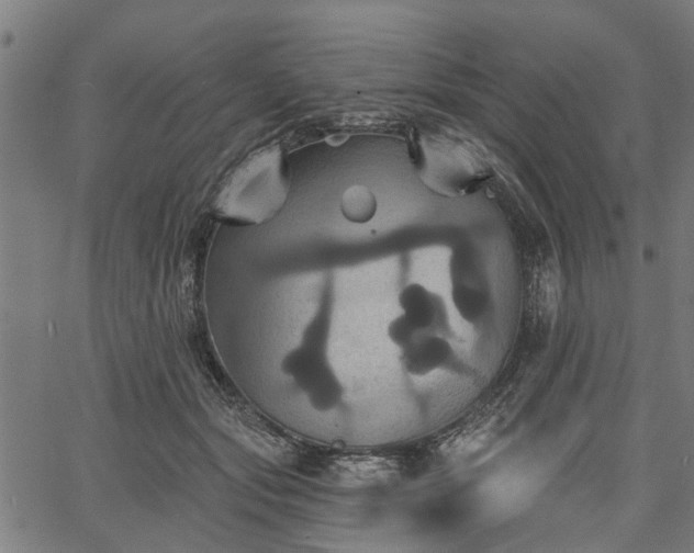 X0000067350557200604030937