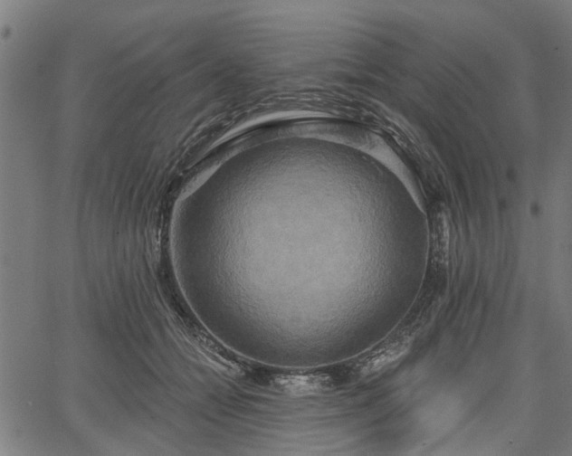 X0000067350558200604030937