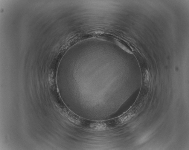 X0000067350559200604030937