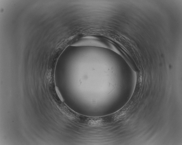 X0000067350560200604030937