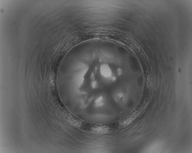 X0000067350561200604030937