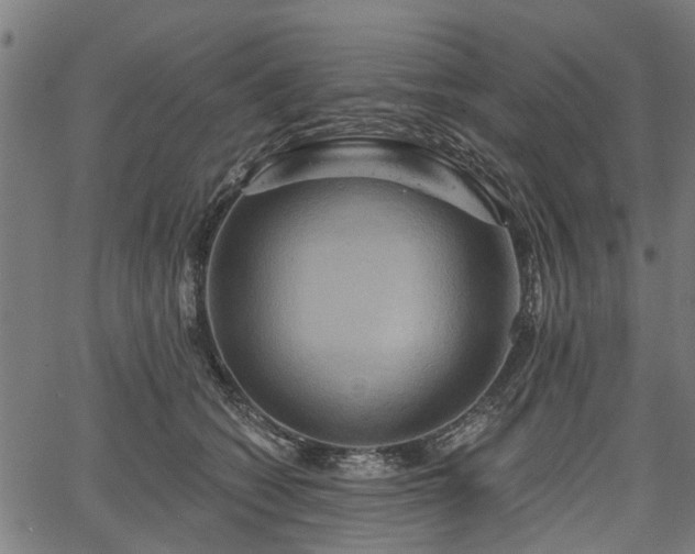 X0000067350562200604030937