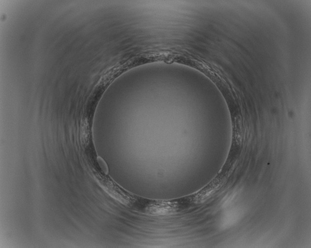 X0000067350563200604030937