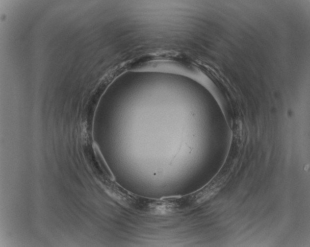 X0000067350564200604030937