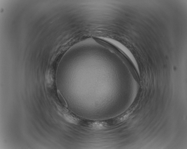 X0000067350566200604030937