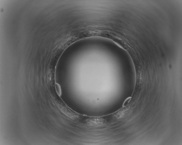 X0000067350567200604030937