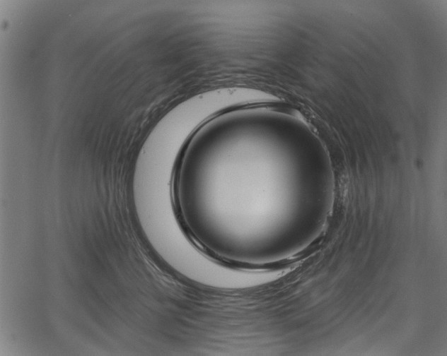 X0000067350570200604030937