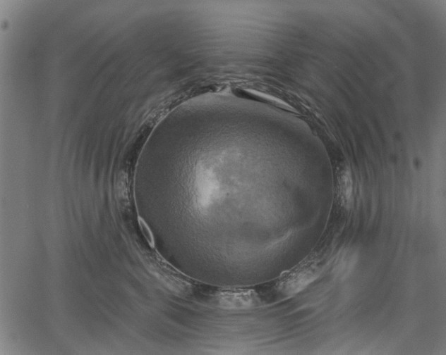 X0000067350571200604030937