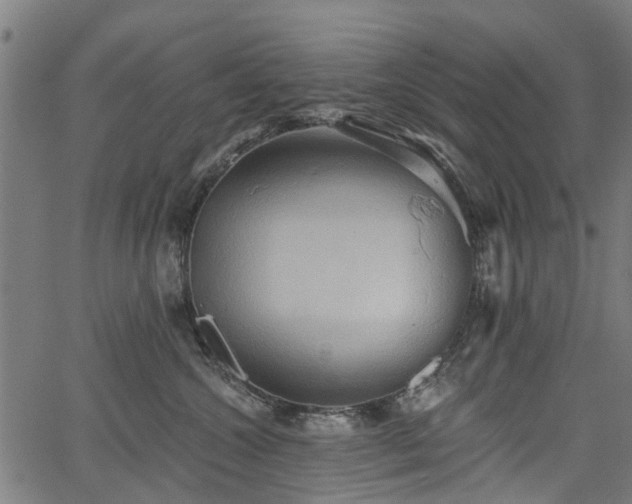 X0000067350572200604030937