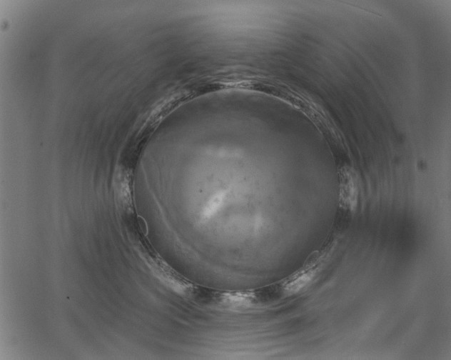 X0000067350573200604030937