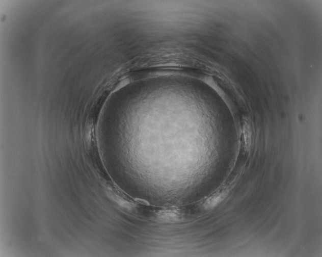 X0000067350574200604030937