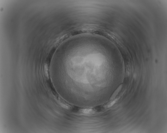 X0000067350575200604030937