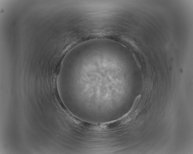 X0000067350576200604030937