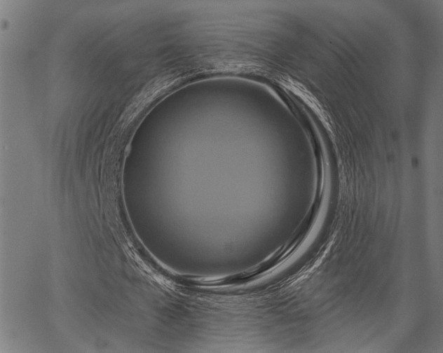 X0000067350577200604030936