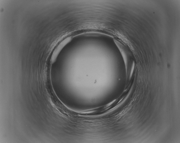 X0000067350580200604030936