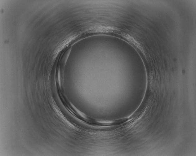 X0000067350581200604030936